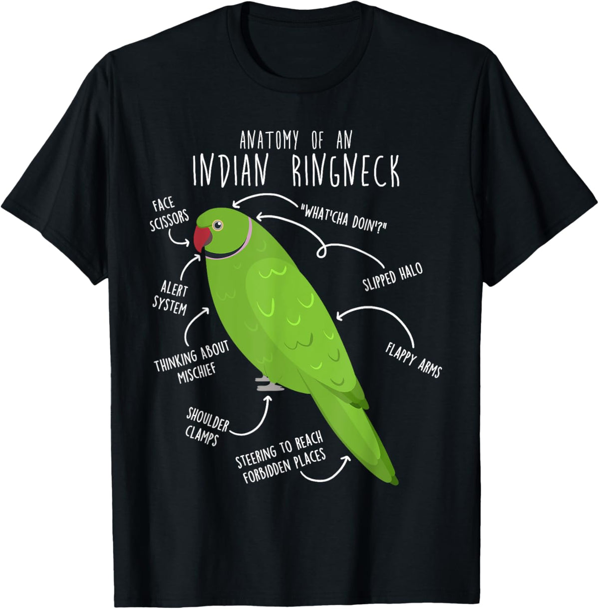 Indian Ringneck Parrot Anatomy Funny Cute Pet Green Bird Mom